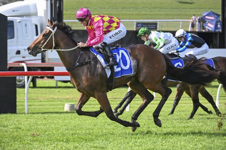 Queen Regent was the bookies' friend when winning at 150/1 at Scone