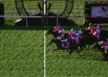 Beaten jockeys: Group 1 Kingsford Smith Cup
