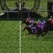 Beaten jockeys: Group 1 Kingsford Smith Cup