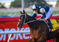 Doomben Cup beaten jockeys: Pride Of Jenni praised after brave Group 1 effort