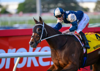 Doomben Cup beaten jockeys: Pride Of Jenni praised after brave Group 1 effort