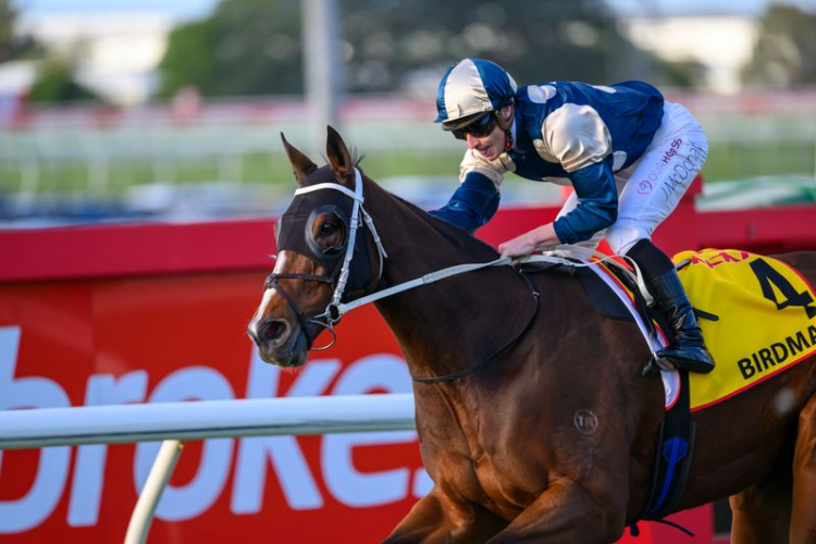 Birdman takes out the Doomben Cup (Courtesy Michael McInally/Racing Queensland)