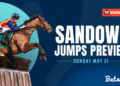 Mitch Ellis’ Sandown jumps preview: Best bets for Australian Hurdle and Steeplechase Day
