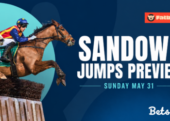 Mitch Ellis’ Sandown jumps preview: Best bets for Australian Hurdle and Steeplechase Day