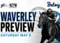NZ Trial Watcher’s Waverley Preview: Best bets and value plays for Saturday