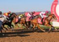 Steve Christies Devonport Set: All-important staking strategy for Sunday’s meeting