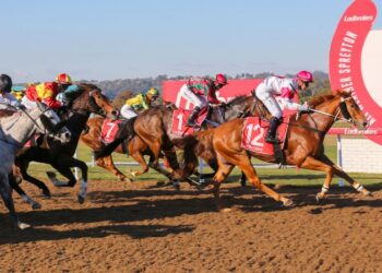 Steve Christies Devonport Set: All-important staking strategy for Sunday’s meeting