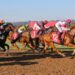 Steve Christies Devonport Set: All-important staking strategy for Sunday’s meeting