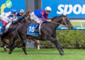 Mitch Lewis previews the Group 1 Goodwood Handicap runner-by-runner at Morphettville