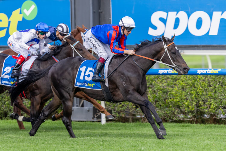 Grand Larceny is a big hope in Saturday's Goodwood.