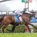 Fringes set for Queensland Oaks after late $15,000 entry fee