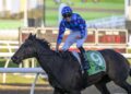 Ponybet’s Jupp survives punter onslaught after brutal Saturday grind