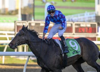 Punters piled in to Pride Of Jenni