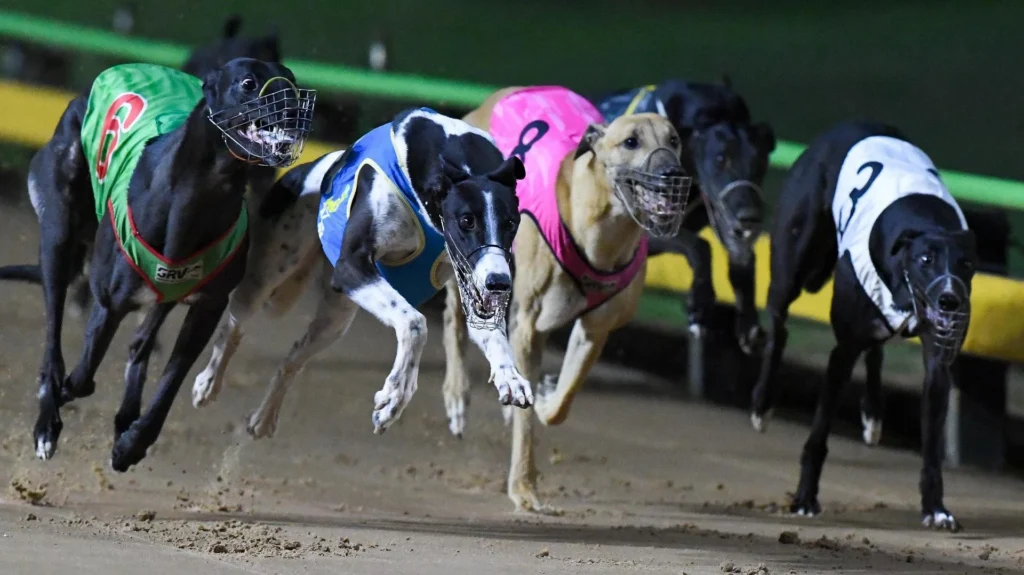 Jason Adams’ Best Bets & Preview: Opening night of the Trilogy at Sandown