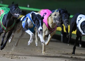 Jason Adams’ Best Bets & Preview: Opening night of the Trilogy at Sandown