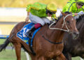 SA Racing Review: Mitch’s horses to follow, forgive and blackbook