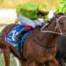 SA Racing Review: Mitch’s horses to follow, forgive and blackbook