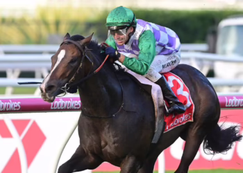 Splash Back hammered in betting as a friendless Private Harry flops
