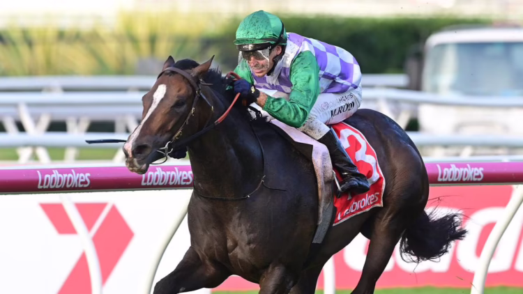 Splash Back win the Victory Stakes at Eagle Farm