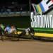 Jason Adams’ preview, tips for Trilogy night at Sandown Park