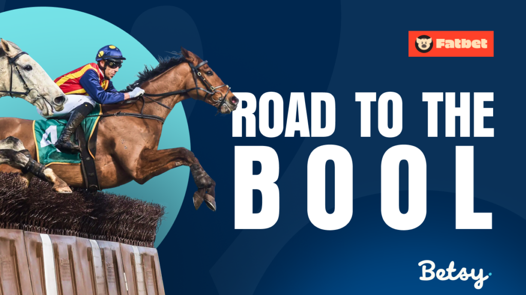 Warrnambool Brierly Day Tips: Mitch Ellis’ jumps preview and best bets