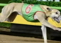 Sapphire Crown Heats packed with speed, drama and a major upset