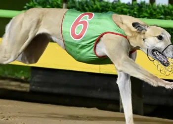 Sapphire Crown Heats packed with speed, drama and a major upset