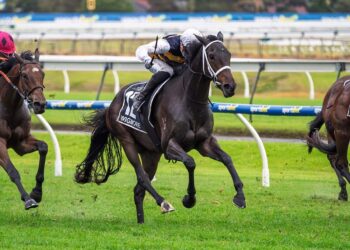 Wigmore wins gritty SA Derby as jockeys reveal toll of testing conditions