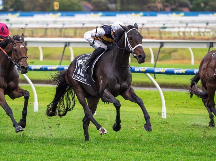 Wigmore narrowly defies Strictly Business to win the 2026 SA Derby
