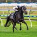 Wigmore wins gritty SA Derby as jockeys reveal toll of testing conditions