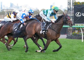 Zakouma ridden by Jordan Childs wins the Lexus Andrew Ramsden (Photo by Brett Holburt/Racing Photos)