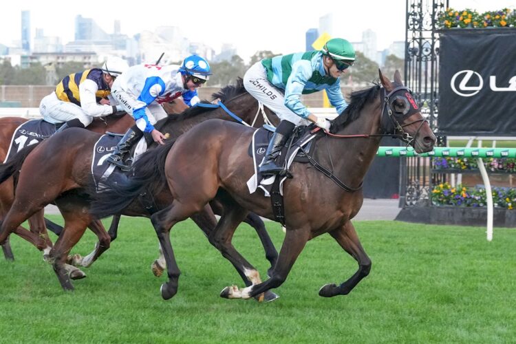 Zakouma ridden by Jordan Childs wins the Lexus Andrew Ramsden (Photo by Brett Holburt/Racing Photos)