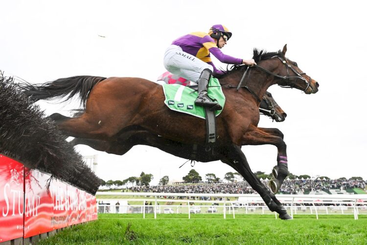 Instigator (GER) ridden by Braidon Small jumps a steeple on the way to winning the Grand Annual Steeplechase at Warrnambool Racecourse on May 07, 2026 in Warrnambool, Australia. (Photo by Pat Scala/Racing Photos)
