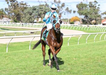 Popular young jockey suspended twice in one day over same offence