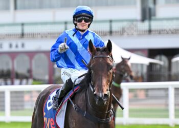 Young gun set for Maher stint
