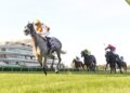 Inside The Lab: Collum’s ratings reveal the best plays in Saturday’s feature races