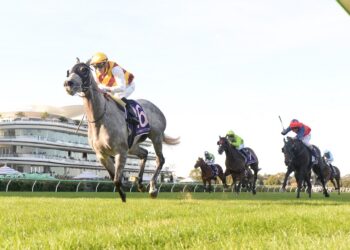 In The Lab: Collum’s ratings reveal the best plays in Saturday’s feature races