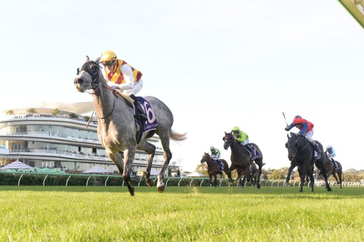 Silvasista ridden by Luke Currie wins the VRC St Leger at Flemington (Photo by Brett Holburt/Racing Photos) B