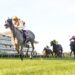 Inside The Lab: Collum’s ratings reveal the best plays in Saturday’s feature races