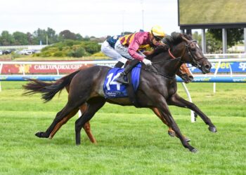 She's A Hustler (NZ) ridden by Jordan Childs wins the The Big Screen Company Zipping Classic at Caulfield Racecourse on November 29, 2025 in Caulfield, Australia. (Photo by Brett Holburt/Racing Photos)