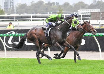 Busuttin duo hunting golden Melbourne Cup ticket
