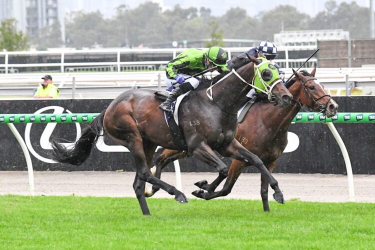 American Wolf (NZ) ridden by John Allen wins the VRC St Leger at Flemington Racecourse on April 25, 2025 in Flemington, Australia. (Photo by Brett Holburt/Racing Photos)