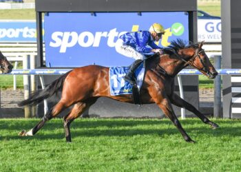 Old meets new in Goodwood gamble