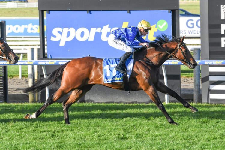 Recon ridden by /17/ wins the Sportsbet Hareeba Stakes at Mornington Racecourse on April 18, 2026 in Mornington, Australia. (Photo by Brett Holburt/Racing Photos)