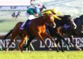 Is there a quiet confidence Calandagan could target the Cox Plate?