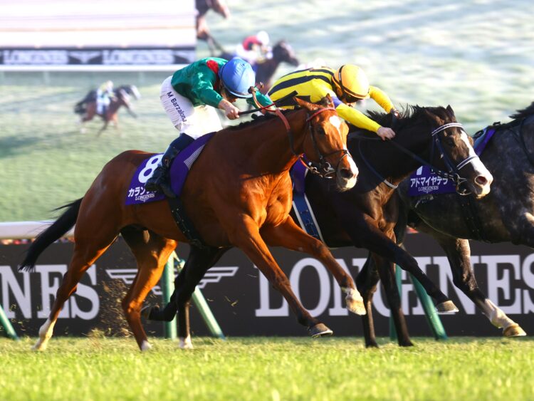 Calandagan [Dubai Racing]