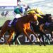 Is there a quiet confidence Calandagan could target the Cox Plate?