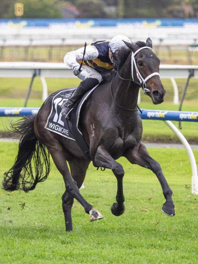 Wigmore Cup