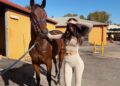 From Love Island to the mounting yard: Vanessa Sierra chasing Group 1 dream