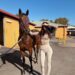 From Love Island to the mounting yard: Vanessa Sierra chasing Group 1 dream